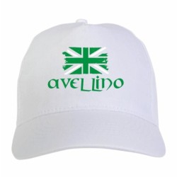 Cappellino ricamato tifosi Avellino bandiera verde grunge 5 pannelli baseball sportivo ultras