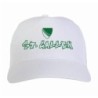 Cappellino scudetto St. Gallen biancoverdi Svizzera scritta tifosi calcio ultras