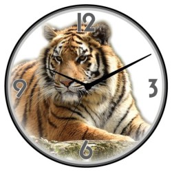 Orologio da parete tigre...