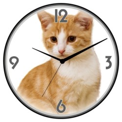 Orologio da parete gatto...