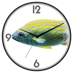 Orologio da parete pesce...