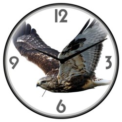 Orologio da parete aquila...