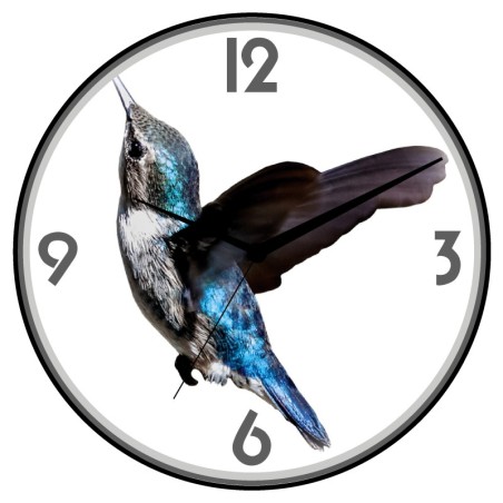 Orologio da parete colibri animali cani gatti uccelli cavalli diametro 28 n.84