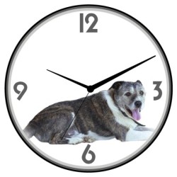 Orologio da parete cane...