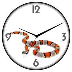 Orologio da parete serpente...