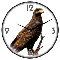 Orologio da parete aquila...