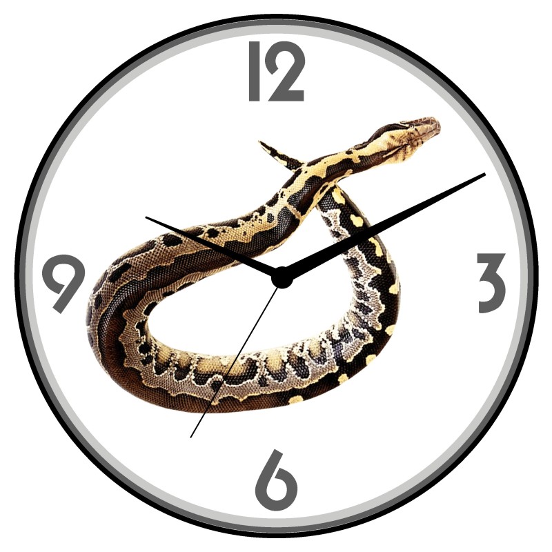 Orologio da parete serpente pitone animali cani gatti uccelli cavalli diametro 28 n.170