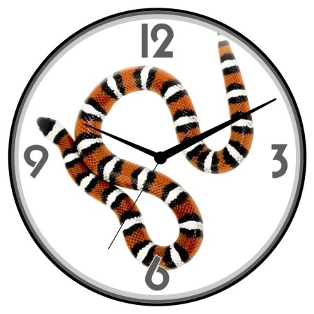 Orologio da parete serpente animali cani gatti uccelli cavalli diametro 28 n.192