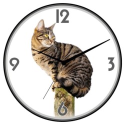 Orologio da parete gatto...