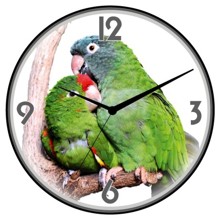 Orologio da parete pappagalli verdi animali cani gatti uccelli cavalli diametro 28 n.213