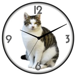 Orologio da parete gatto...