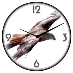 Orologio da parete aquila...