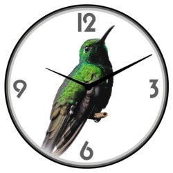 Orologio da parete uccello...