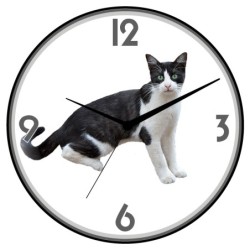 Orologio da parete gatto...