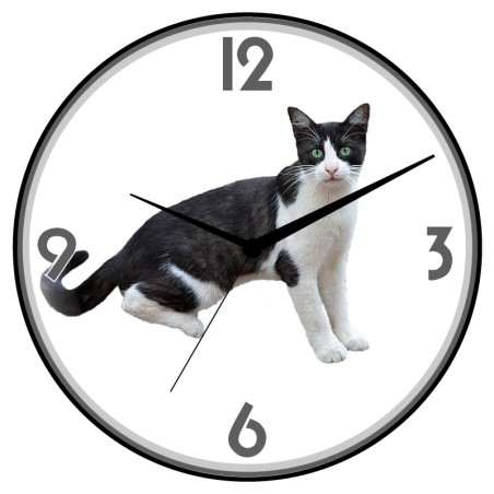 Orologio da parete gatto bianco e nero animali cani gatti uccelli cavalli diametro 28 n.282