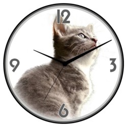 Orologio da parete gatto...