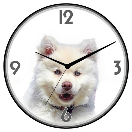 Orologio da parete cane bianco animali cani gatti uccelli cavalli diametro 28 n.371