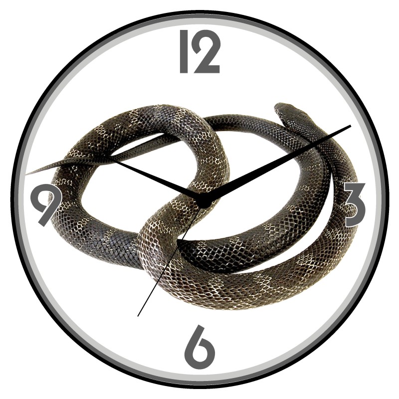 Orologio da parete serpente nero animali cani gatti uccelli cavalli diametro 28 n.375