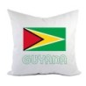 Cuscino divano letto Guyana bandiera federa e imbottitura 40x40 cm in poliestere